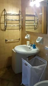 a bathroom with a sink and a toilet and a mirror at Rododendro Apartment in Passo San Pellegrino