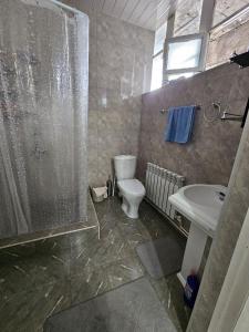 a bathroom with a toilet and a shower and a sink at Homy in Gyumri