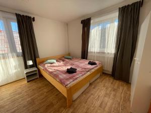 パセキ・ナト・イゼロウにあるApartmán Ritaの窓のある部屋にベッドがある寝室