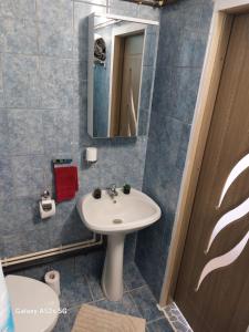 Koupelna v ubytování Refugiu Alpin Borsec + 22 fotografií