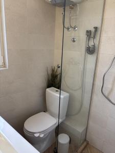 a bathroom with a toilet and a shower at Apartment 5th in Belgrade +5 photos