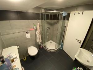 a bathroom with a shower and a toilet and a sink at Cityflair Berlin Apartments & Rooms in Berlin