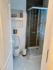 a bathroom with a toilet and a glass shower at CoolKUSH 2U in Bucharest +7 photos
