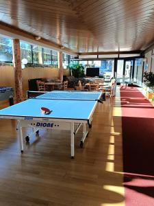 a ping pong table in the middle of a room at Casa Pisolo - presso Sussy Residence in Falcade