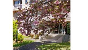 un albero con fiori rosa di fronte a una casa di Vu parc, détendez vous au calme ! a Fontenay-sous-Bois