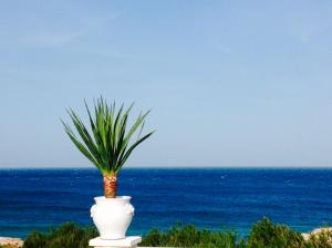 a pineapple in a white pot with the ocean in the background at Playa del Mar - Adults Only in Monopoli