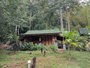 Zahrada ubytování Mayas Hut + 1 fotografie