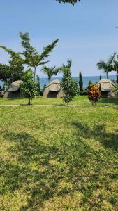 Homa BayArch-Villa Resort&Camping Site Mfangano Island的草木田野上的两个帐篷