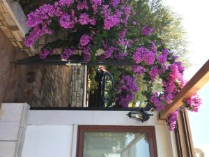 Zahrada ubytování Vera Bed and Breakfast