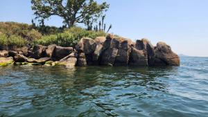 Homa BayArch-Villa Resort&Camping Site Mfangano Island的水中一群大岩石