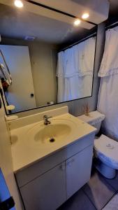 a bathroom with a sink and a toilet and a mirror at Departamento amoblado in Temuco