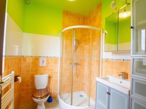 a bathroom with a shower and a toilet and a sink at Évasion en Périgord: Gîte 4 chambres, terrasse, jardin, animaux bienvenus, près de Sarlat - FR-1-616-449 in Plazac +21 photos