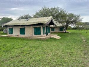 une tente avec une tare au-dessus d'un champ dans l'établissement AMENITY TOURs & CAMPING - SERENGETI, à Lukungu