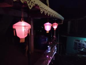 a group of pink lights hanging from a building at night at Family Holiday Homestay Kalimpong in Kalimpong