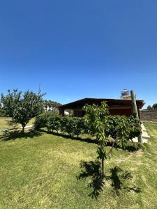 Příroda nedaleko prázdninového domu