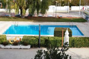 a blue swimming pool with bushes and a tree at Hotel Santa Barbara in Andorra
