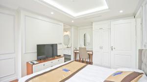 TV a/nebo společenská místnost v ubytování Luxe Paradise Residence 79 Nguyen Du