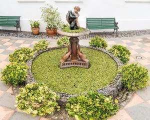 A garden outside Malpais Trece