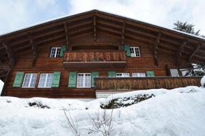 Chalet Wandelgrün talvel