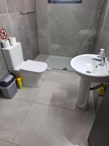 Un baño con inodoro, lavabo y ducha. en D Pitsillos Homes luxury, en Lárnaca