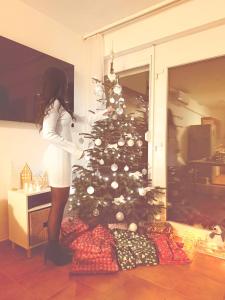 TV a/nebo společenská místnost v ubytování BALATON A KERTBEN - BALATON IN THE GARDEN - Beachfront houses with beautiful view, private beach