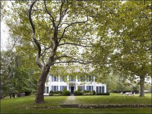 ein weißes Haus mit einem großen Baum im Hof in der Unterkunft Shelter Island Hidden Estate in East Marion + 13 Fotos