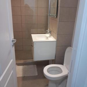 Koupelna v ubytování Apartament Ramnicu Valcea