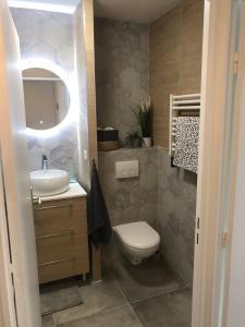 a bathroom with a toilet and a sink and a mirror at Charmant studio au bord du lez in Montpellier