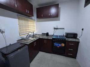 a small kitchen with a stove and a sink at Life Apartment in Aguda