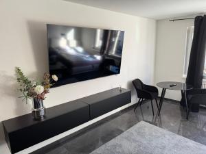 Televízia a/alebo spoločenská miestnosť v ubytovaní Apartment Vienna