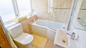 a bathroom with a toilet and a shower and a sink at Buttercup in Llanrhyddlad +18 photos