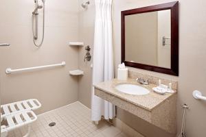 Koupelna v ubytování SpringHill Suites by Marriott El Paso