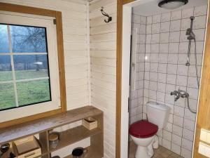 a bathroom with a toilet with a red seat at Užukalnio sodyba in Užuguostis +45 photos