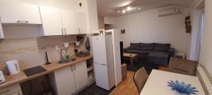 Η κουζίνα ή μικρή κουζίνα στο Apartman EXPO Surčin