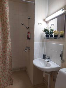 a bathroom with a sink and a shower at Tuohilinna Apartment 2 in Rovaniemi