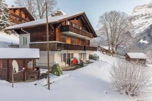 Schürli Apartment - Aare Jungfrau AG v zimě