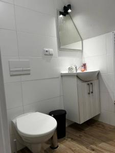 a bathroom with a toilet and a sink and a mirror at Nachtigal's Ore Mountains Residence in Kovářská +25 photos