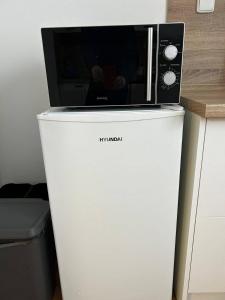 a microwave sitting on top of a white refrigerator at Nachtigal's Ore Mountains Residence in Kovářská