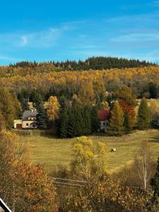 a house in the middle of a field with trees at Nachtigal's Ore Mountains Residence in Kovářská