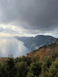 Naturlandskabet i nærheden af lejligheden