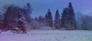 ヨハンジョルゲンシュタットにあるFerienwohnung Bergluftの雪田