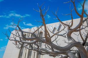 Fotografie z fotogalerie ubytování W Muscat v destinaci Muscat