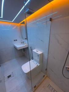 a bathroom with a toilet and a sink and a shower at Appartement Dar LALA 2 in Fez