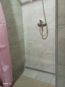 a shower with a glass door in a bathroom at Біля Річки in Kvasy