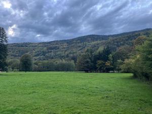 a large green field with trees in the background at Transfo in Lepuix