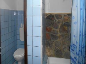 a bathroom with a toilet and a stone shower at Apartments Škrobot in Senj +13 photos