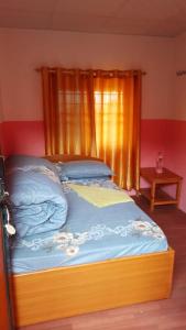 a bedroom with a bed with blue sheets and a window at barahi excursion tours LTD in Pokhara