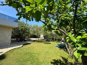 Vonkajšia záhrada v ubytovaní Holiday House K&K