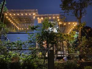 a string of lights on a pergola in a garden at night at Undertree Life Villa in Hòa Bình