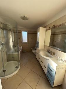 a bathroom with a shower and a sink and a toilet at Le camelie 2 di Francesca in Polverara